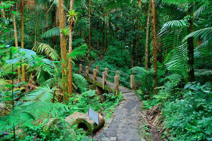 Puerto Rico Country